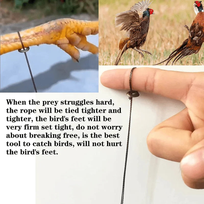 Professional Bird Trap for Chicken Pheasant Wild Duck Partridge Mallard Tying Birds' feet Won't Hurt Them